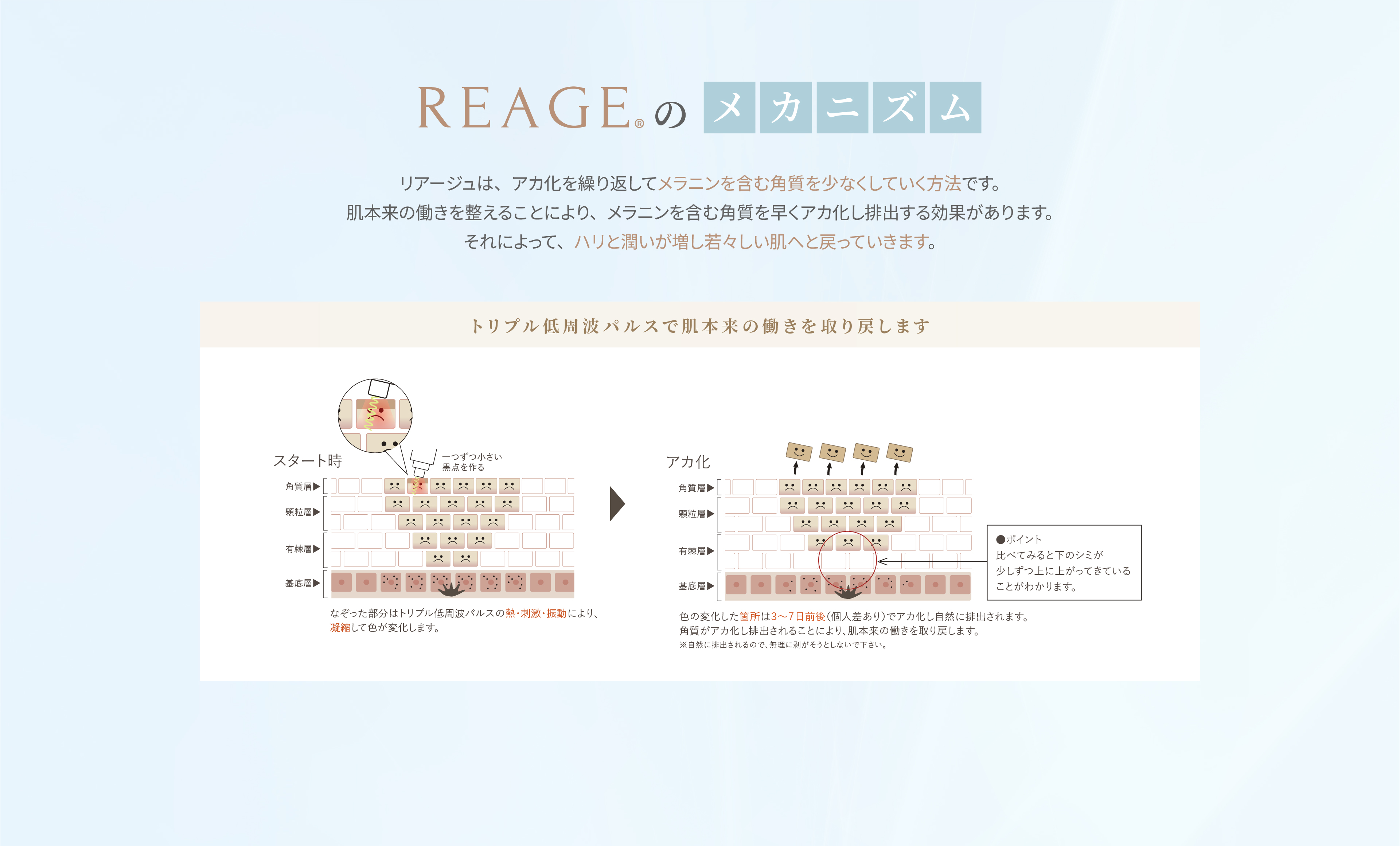 REAGEのメカニズム